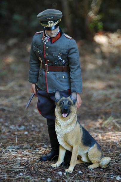 Rommel y pastor aleman